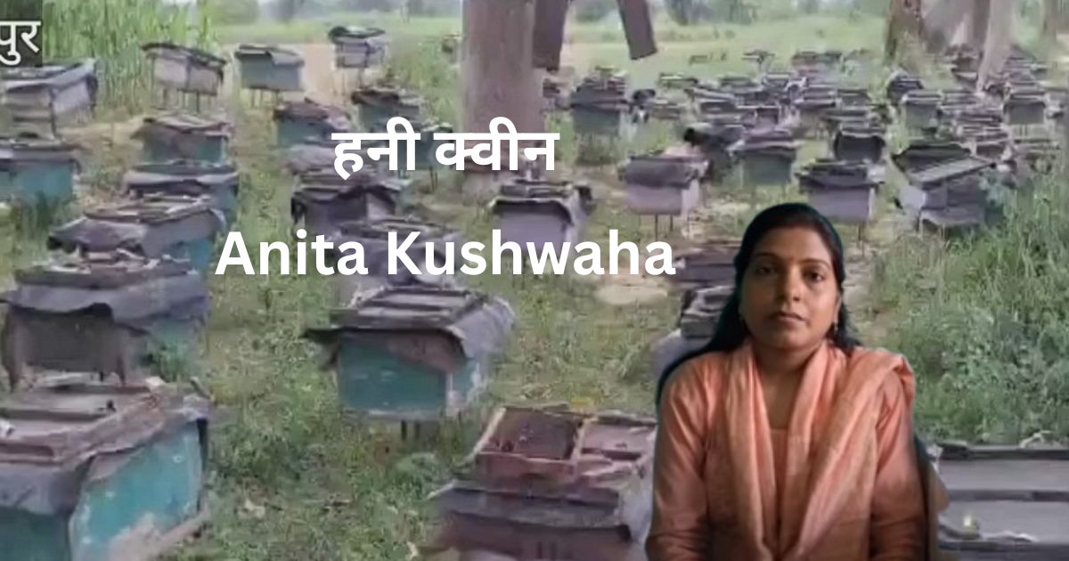 Success Story Anita Kushwaha: बिहार की ‘हनी क्वीन’, जिन्होंने मधुमक्खी पालन से बदली अपनी ज़िंदगी