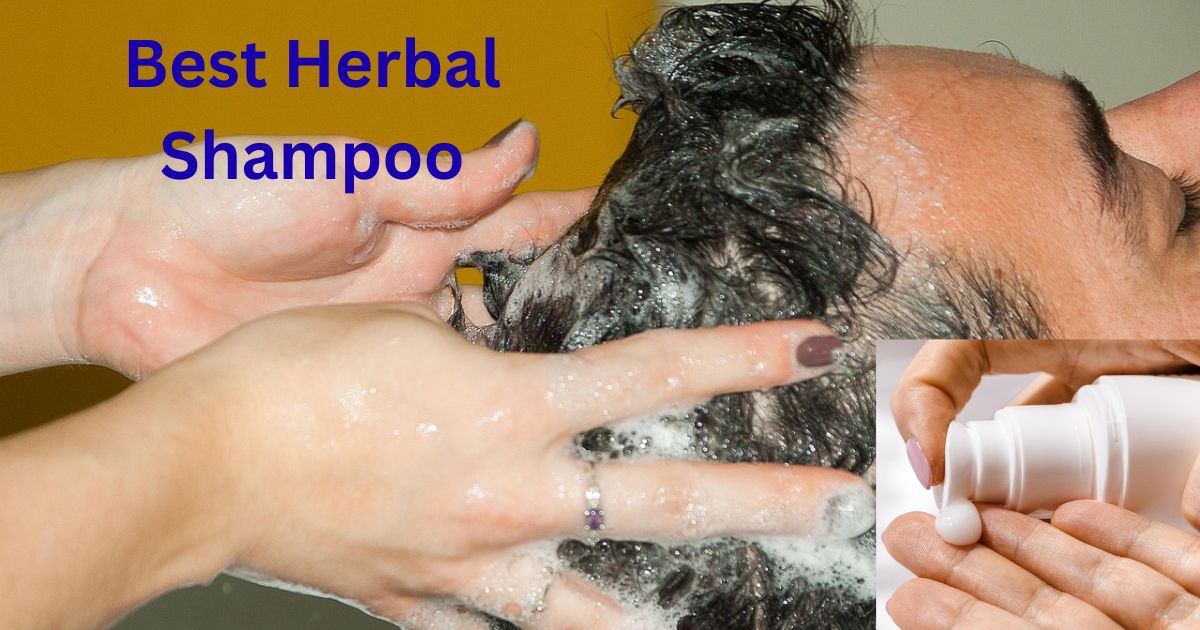 Natural Herbal Shampoo : ये उपाय कर लो! बाल झड़ना और सफेद होना तुरंत रुक जाएगा |