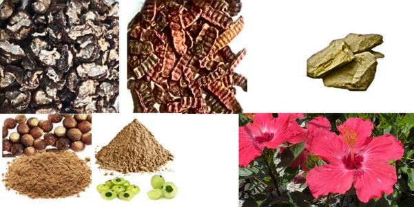 Natural Herbal Shampoo 